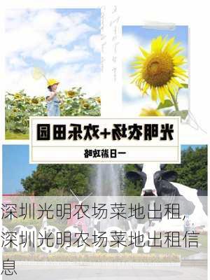 深圳光明农场菜地出租,深圳光明农场菜地出租信息