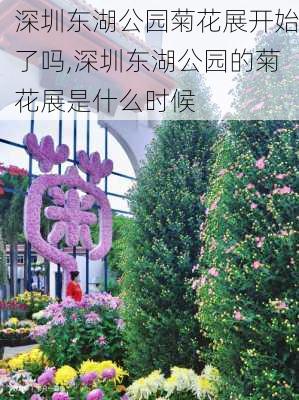 深圳东湖公园菊花展开始了吗,深圳东湖公园的菊花展是什么时候