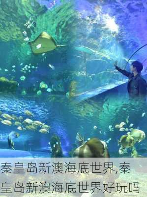 秦皇岛新澳海底世界,秦皇岛新澳海底世界好玩吗