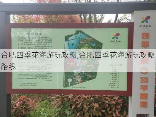 合肥四季花海游玩攻略,合肥四季花海游玩攻略路线