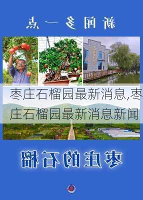 枣庄石榴园最新消息,枣庄石榴园最新消息新闻