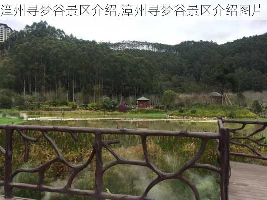 漳州寻梦谷景区介绍,漳州寻梦谷景区介绍图片