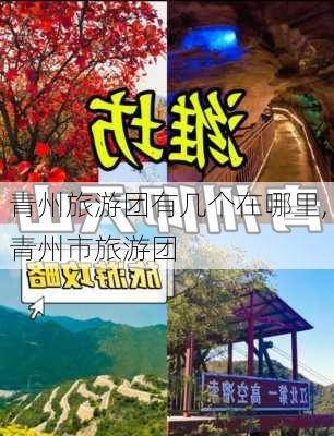 青州旅游团有几个在哪里,青州市旅游团