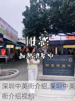 深圳中英街介绍,深圳中英街介绍视频