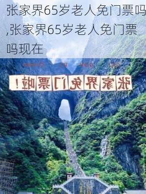 张家界65岁老人免门票吗,张家界65岁老人免门票吗现在