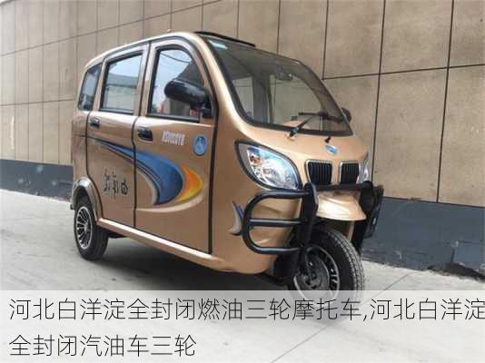 河北白洋淀全封闭燃油三轮摩托车,河北白洋淀全封闭汽油车三轮