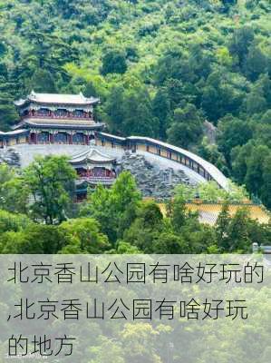 北京香山公园有啥好玩的,北京香山公园有啥好玩的地方