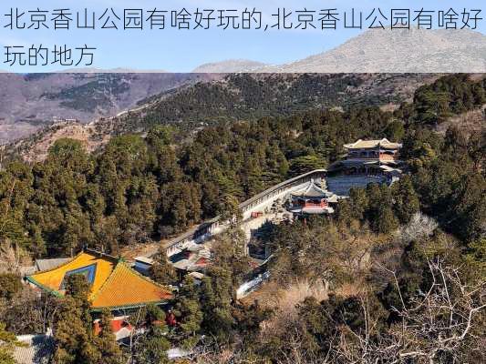 北京香山公园有啥好玩的,北京香山公园有啥好玩的地方