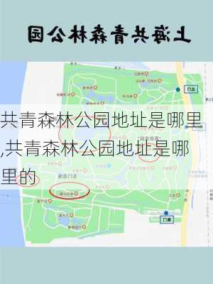 共青森林公园地址是哪里,共青森林公园地址是哪里的