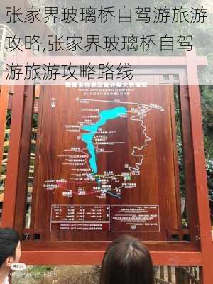 张家界玻璃桥自驾游旅游攻略,张家界玻璃桥自驾游旅游攻略路线