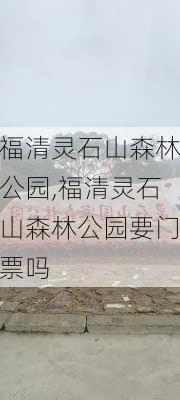 福清灵石山森林公园,福清灵石山森林公园要门票吗