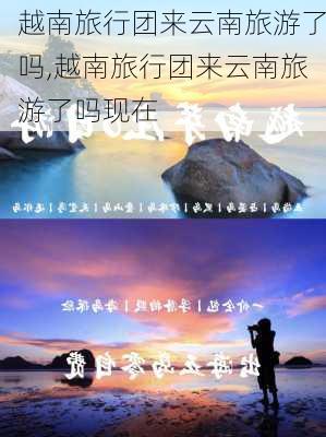 越南旅行团来云南旅游了吗,越南旅行团来云南旅游了吗现在