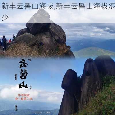 新丰云髻山海拔,新丰云髻山海拔多少