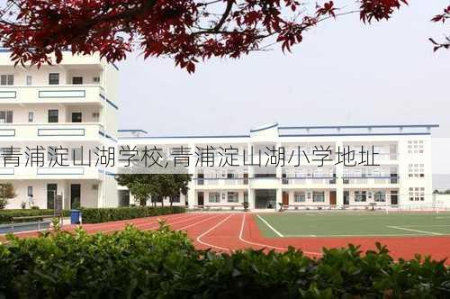 青浦淀山湖学校,青浦淀山湖小学地址