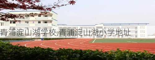 青浦淀山湖学校,青浦淀山湖小学地址