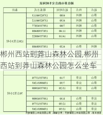 郴州西站到莽山森林公园,郴州西站到莽山森林公园怎么坐车