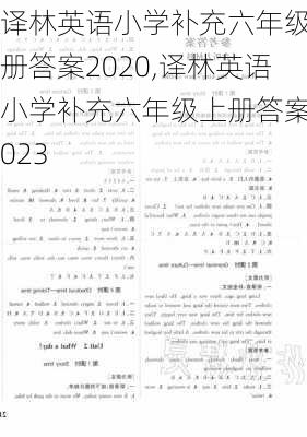 译林英语小学补充六年级上册答案2020,译林英语小学补充六年级上册答案2023