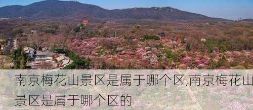 南京梅花山景区是属于哪个区,南京梅花山景区是属于哪个区的