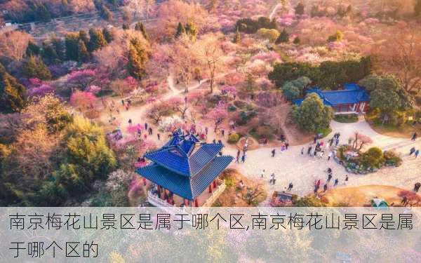 南京梅花山景区是属于哪个区,南京梅花山景区是属于哪个区的