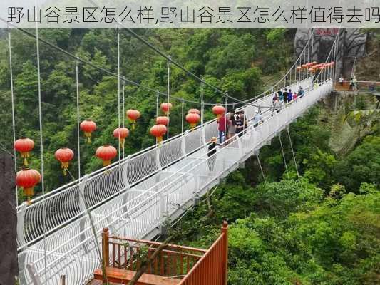 野山谷景区怎么样,野山谷景区怎么样值得去吗