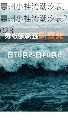 惠州小桂湾潮汐表,惠州小桂湾潮汐表2023