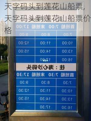 天字码头到莲花山船票,天字码头到莲花山船票价格