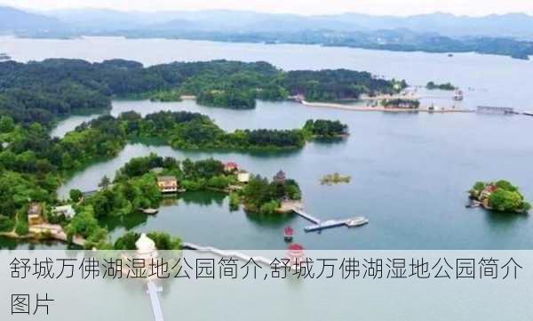 舒城万佛湖湿地公园简介,舒城万佛湖湿地公园简介图片