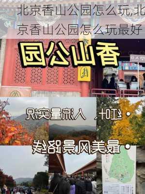 北京香山公园怎么玩,北京香山公园怎么玩最好