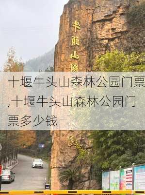 十堰牛头山森林公园门票,十堰牛头山森林公园门票多少钱