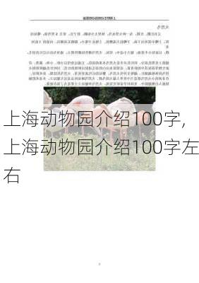 上海动物园介绍100字,上海动物园介绍100字左右