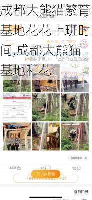 成都大熊猫繁育基地花花上班时间,成都大熊猫基地和花