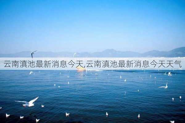 云南滇池最新消息今天,云南滇池最新消息今天天气