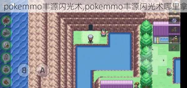 pokemmo丰源闪光术,pokemmo丰源闪光术哪里拿