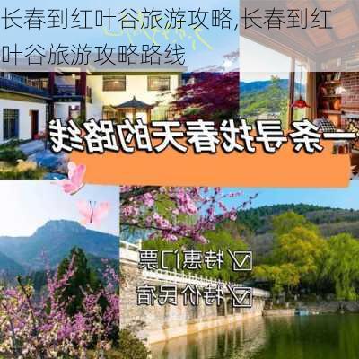 长春到红叶谷旅游攻略,长春到红叶谷旅游攻略路线