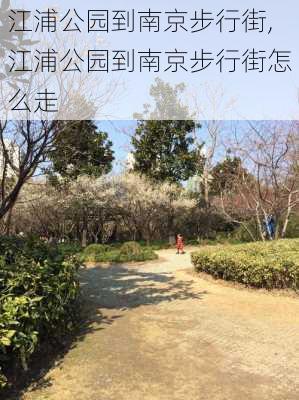 江浦公园到南京步行街,江浦公园到南京步行街怎么走