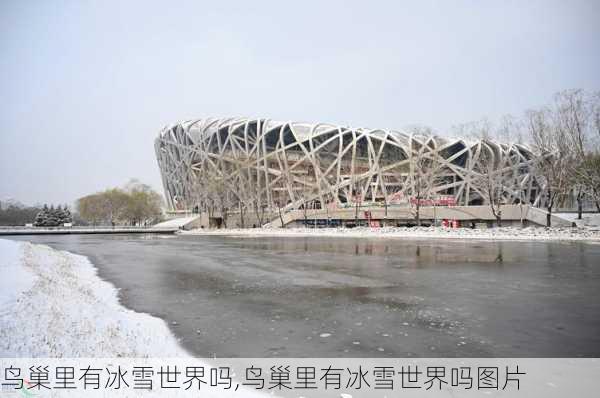 鸟巢里有冰雪世界吗,鸟巢里有冰雪世界吗图片