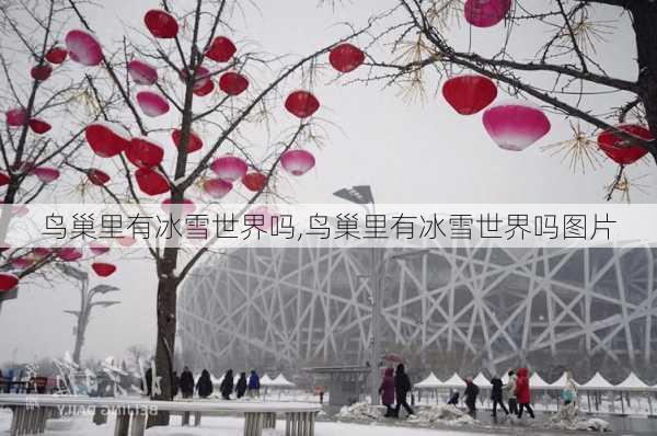 鸟巢里有冰雪世界吗,鸟巢里有冰雪世界吗图片