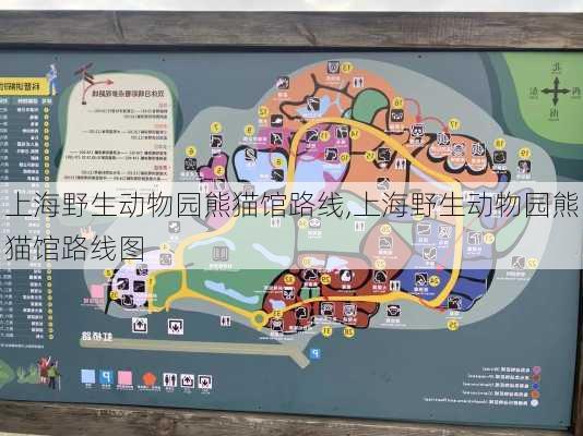 上海野生动物园熊猫馆路线,上海野生动物园熊猫馆路线图