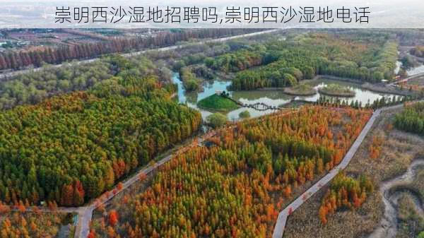 崇明西沙湿地招聘吗,崇明西沙湿地电话