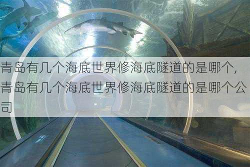 青岛有几个海底世界修海底隧道的是哪个,青岛有几个海底世界修海底隧道的是哪个公司