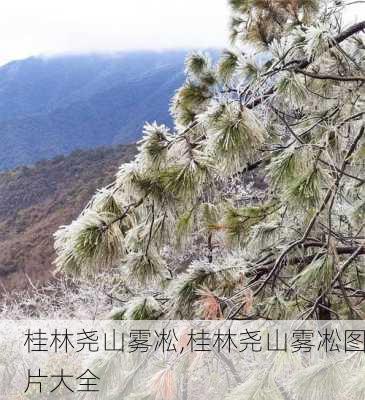 桂林尧山雾凇,桂林尧山雾凇图片大全