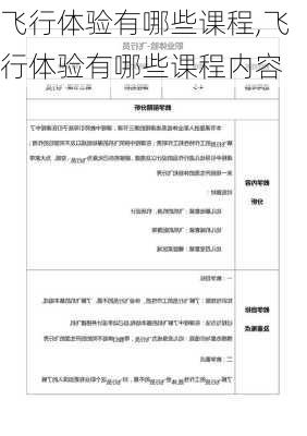 飞行体验有哪些课程,飞行体验有哪些课程内容