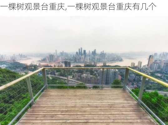 一棵树观景台重庆,一棵树观景台重庆有几个