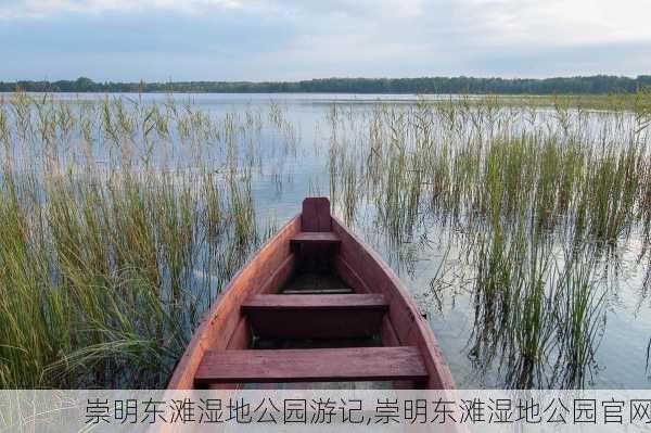 崇明东滩湿地公园游记,崇明东滩湿地公园官网