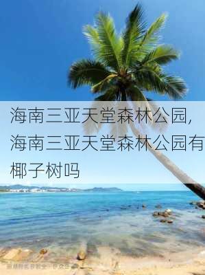 海南三亚天堂森林公园,海南三亚天堂森林公园有椰子树吗