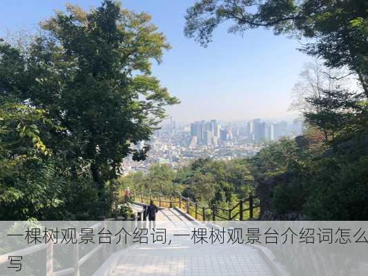 一棵树观景台介绍词,一棵树观景台介绍词怎么写