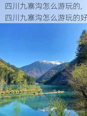 四川九寨沟怎么游玩的,四川九寨沟怎么游玩的好