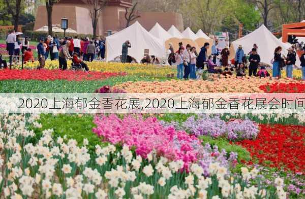 2020上海郁金香花展,2020上海郁金香花展会时间