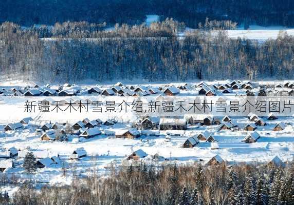 新疆禾木村雪景介绍,新疆禾木村雪景介绍图片