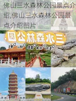 佛山三水森林公园景点介绍,佛山三水森林公园景点介绍图片